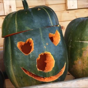 Halloween im Gemeinschaftsgarten am Sonntag, 31. Oktober 2021