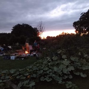 Kartoffel-Feuer im Gemeinschaftsgarten am Sonntag, 12. September 2021