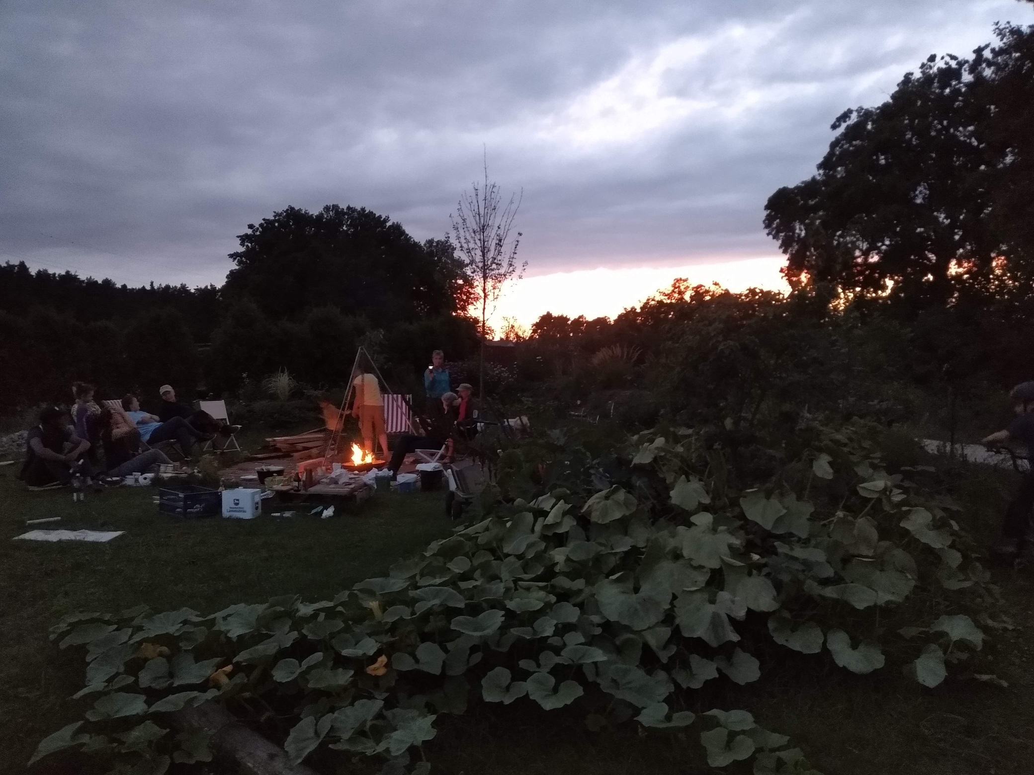 Kartoffel-Feuer im Gemeinschaftsgarten am Sonntag, 12. September 2021